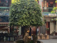 -云南古玩城(护国路店)