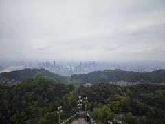 -大金鹰园