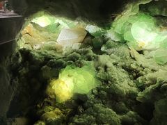 -湖南省地质博物馆