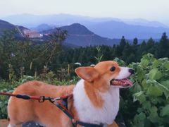 -九宫山风景区