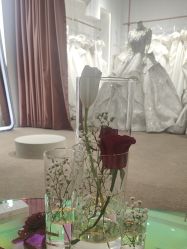 -派丽莫Pellimo原创设计婚纱品牌