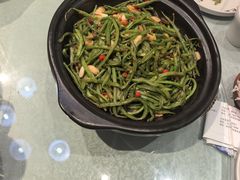 -巴渝菜馆(涿州店)