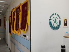 -中农国际动物医院24小时·猫科·骨科·急重症中心