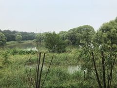 -北京麋鹿生态实验中心