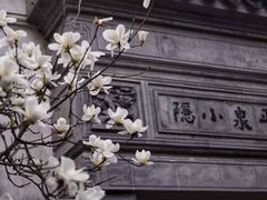 -耦园