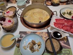 -洪氏嗨捞·猪肚鸡火锅(阳光天地店)