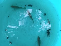 -重庆彩云湖湿地公园
