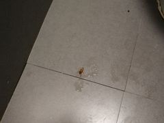 -厦门燕子坞客栈