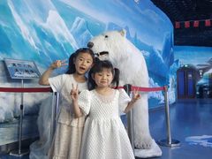 -多彩贵州城极地海洋世界