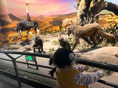 -国家自然博物馆