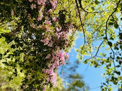 -天台山琼台仙谷景区