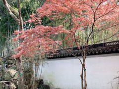 -秋霞圃