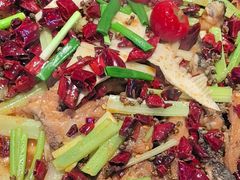 -老板恋上鱼(恒隆广场店)