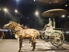 -秦始皇帝陵博物院(兵马俑)