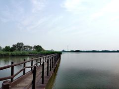 -西青郊野公园