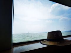 -滕州微山湖红荷湿地景区