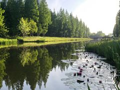 -黄海国家森林公园