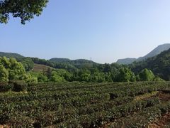 iphone_upload_pic-西湖风景区十里琅珰-五云山