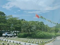 -亚龙湾国际玫瑰谷