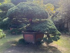 -水绘园