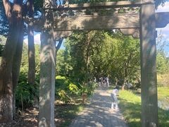 -白马涧龙池景区