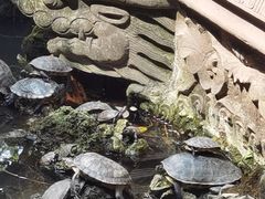 -宝光寺