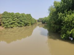 -上海海湾国家森林公园