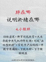 点击看大图 -玛莲朵·海菲秀冰珀科