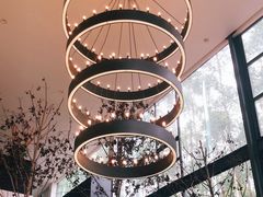 -桉树林A coffee 森林餐厅(三圣乡店)