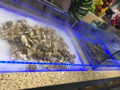 -和谐号(全运路万达店)