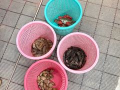 -明记海鲜大排档(巽寮湾店)