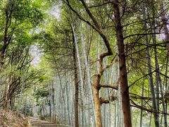 -敬亭山风景名胜区