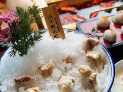 -九鼎轩脆毛肚火锅(三钢里店)