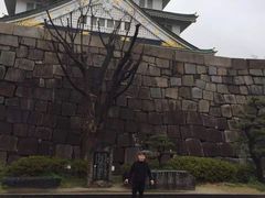 -名古屋城