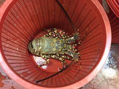 -ZF Seafood Restaurant 卓峰海鲜餐