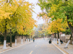 -八大关景区