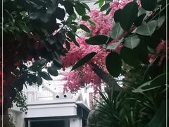 -滕头生态酒店(奉化店)