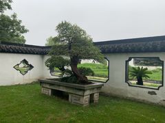 -扬州大运河文化旅游度假区·盆景园