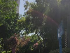 -成都保利公园皇冠假日酒店(熊猫基地店)
