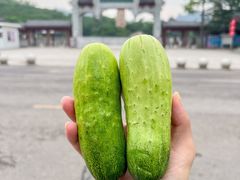 -东湖听涛景区
