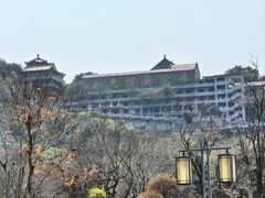 -顺峰山公园
