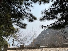 -鹫峰国家森林公园