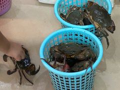-瑞丽活螃蟹(芒市店)