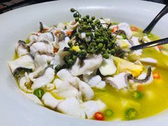 -青花椒花椒鱼(虹桥南丰城店)