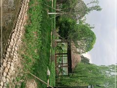 -三圣花乡旅游区