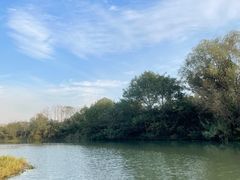 -杭州西溪宾馆-松露西餐厅