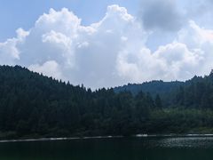 -武陵山森林公园