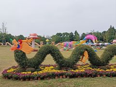 -上海长兴岛郊野公园