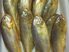 清蒸小梅鱼-浙C老邻舍(西城海错店)