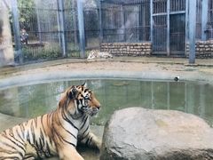 -上方山森林动物世界
